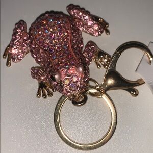 Aurora borealis Frog purse/bag charm Keychain